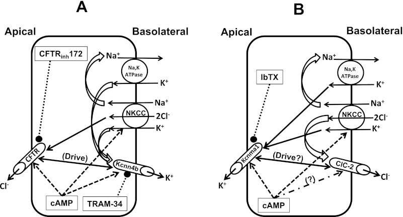 Fig. 8.