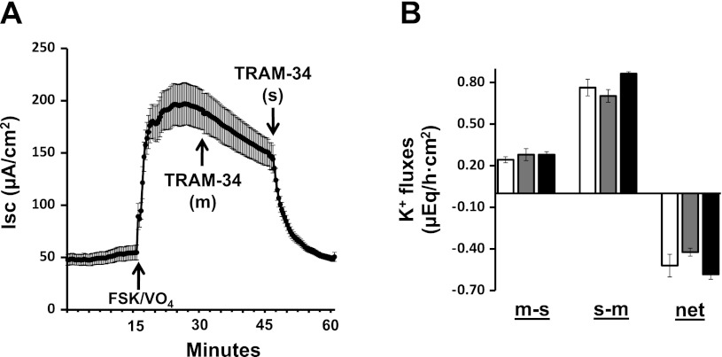 Fig. 3.