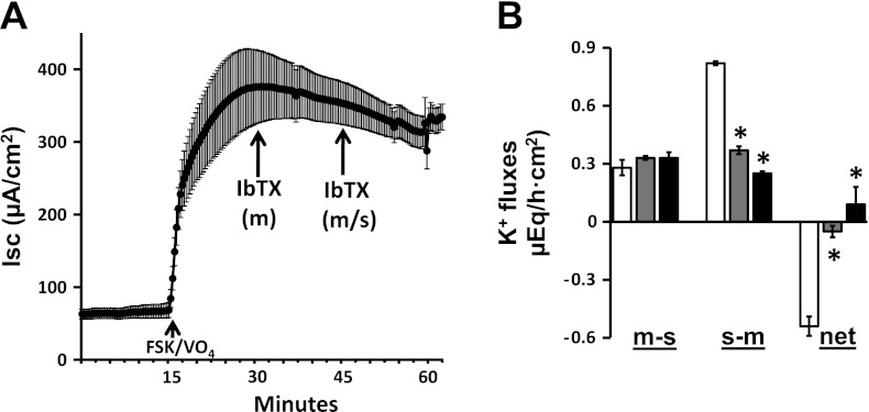 Fig. 4.