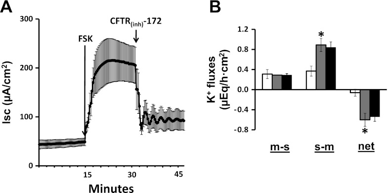 Fig. 6.