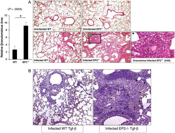 Figure 6.