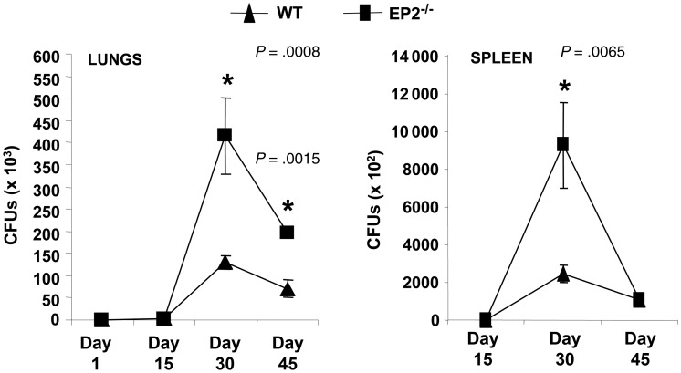 Figure 2.