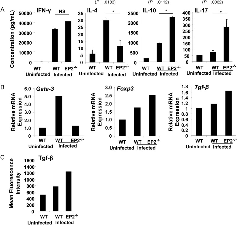 Figure 4.