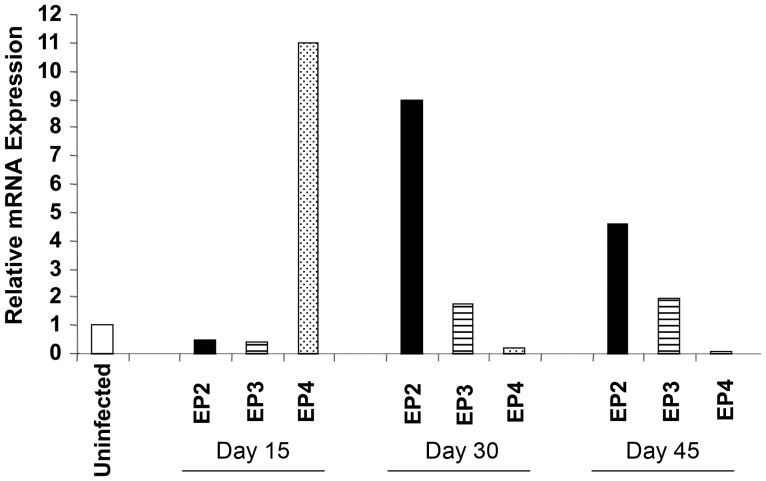 Figure 1.