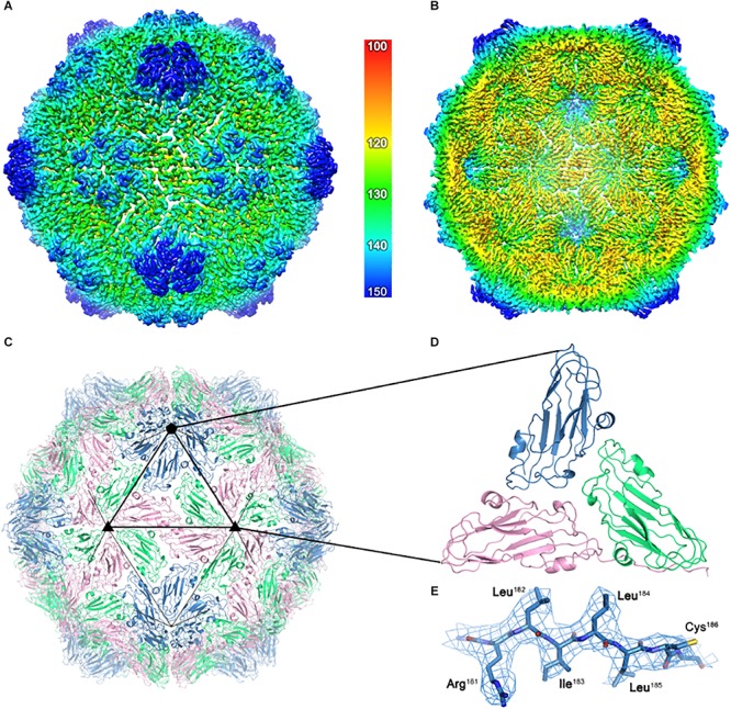 FIGURE 4