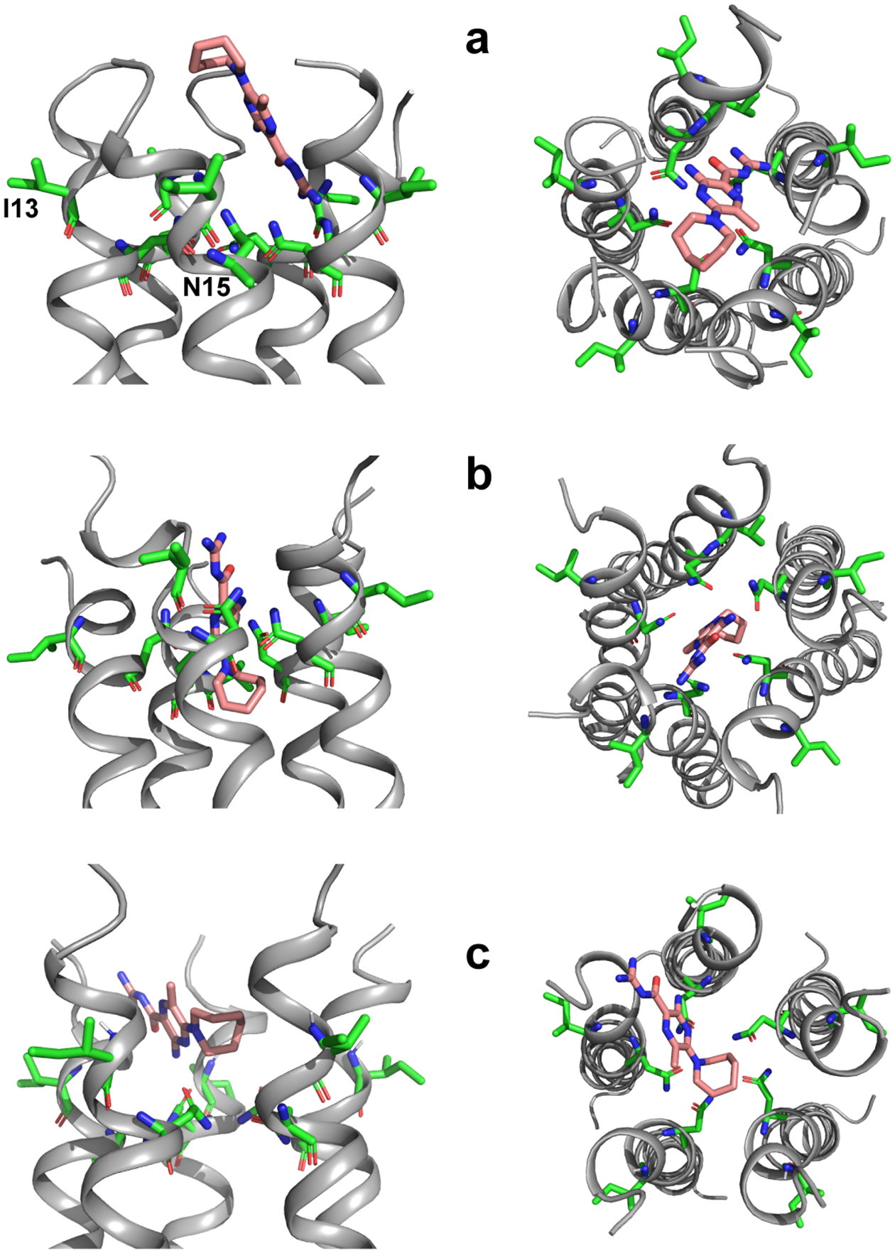 Extended Data Figure 9.