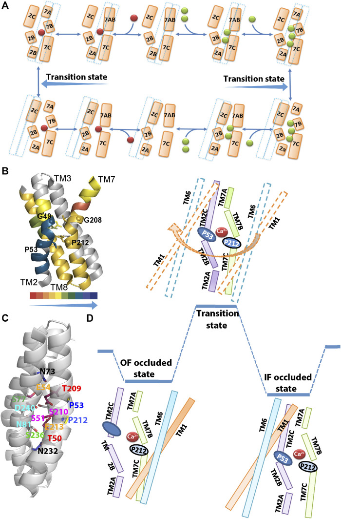 FIGURE 2