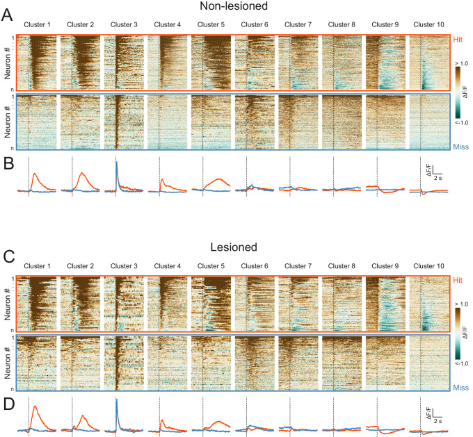 Figure 5—figure supplement 3.