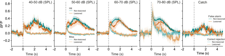 Figure 4—figure supplement 1.