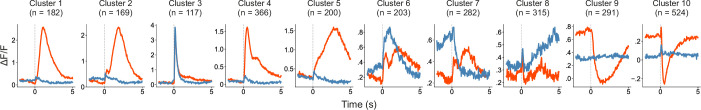 Figure 5—figure supplement 1.