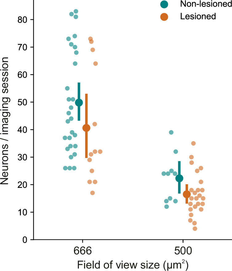 Figure 5—figure supplement 2.