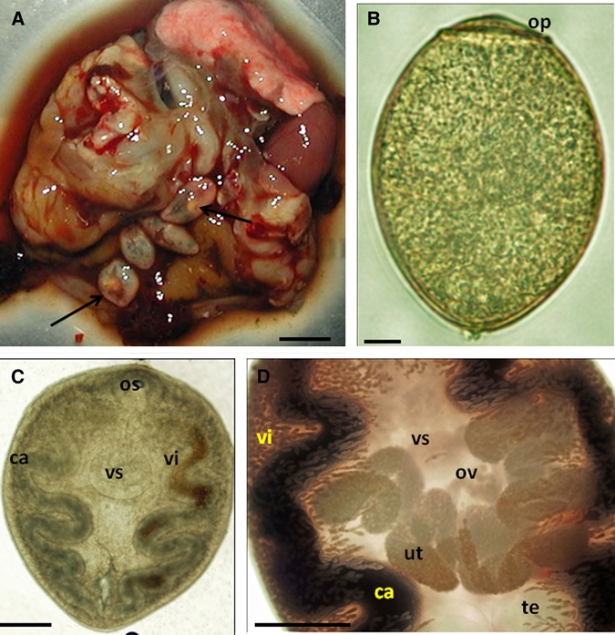 Figure 3.