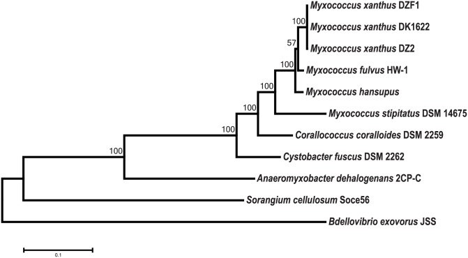 Fig 4