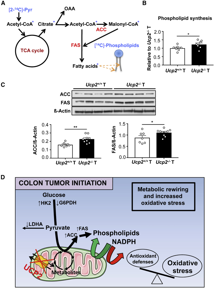 Figure 6