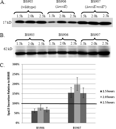 FIG. 7.