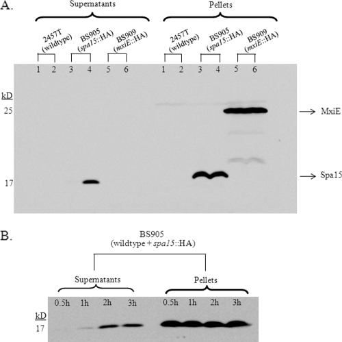 FIG. 4.