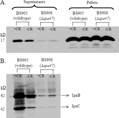 FIG. 5.