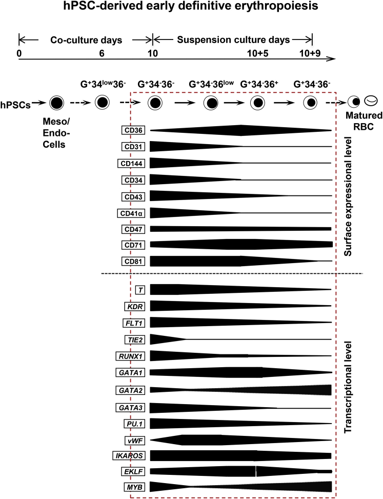 Figure 7