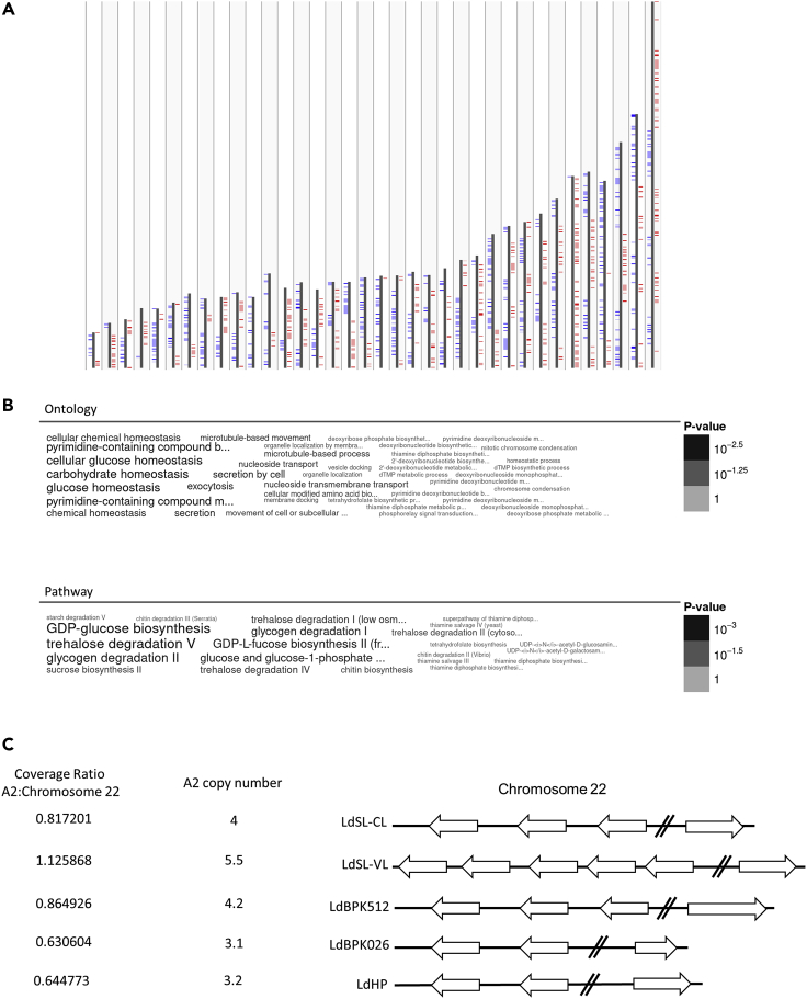 Figure 4