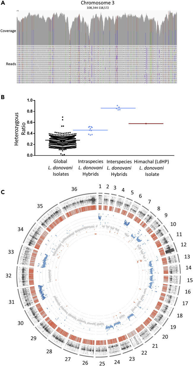 Figure 2