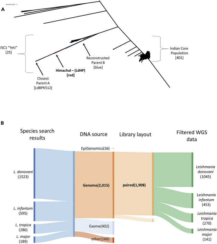 Figure 3