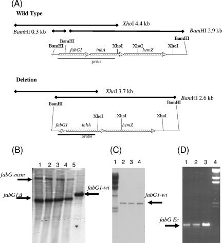 FIG. 2.