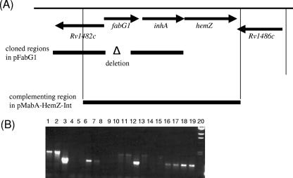 FIG. 1.