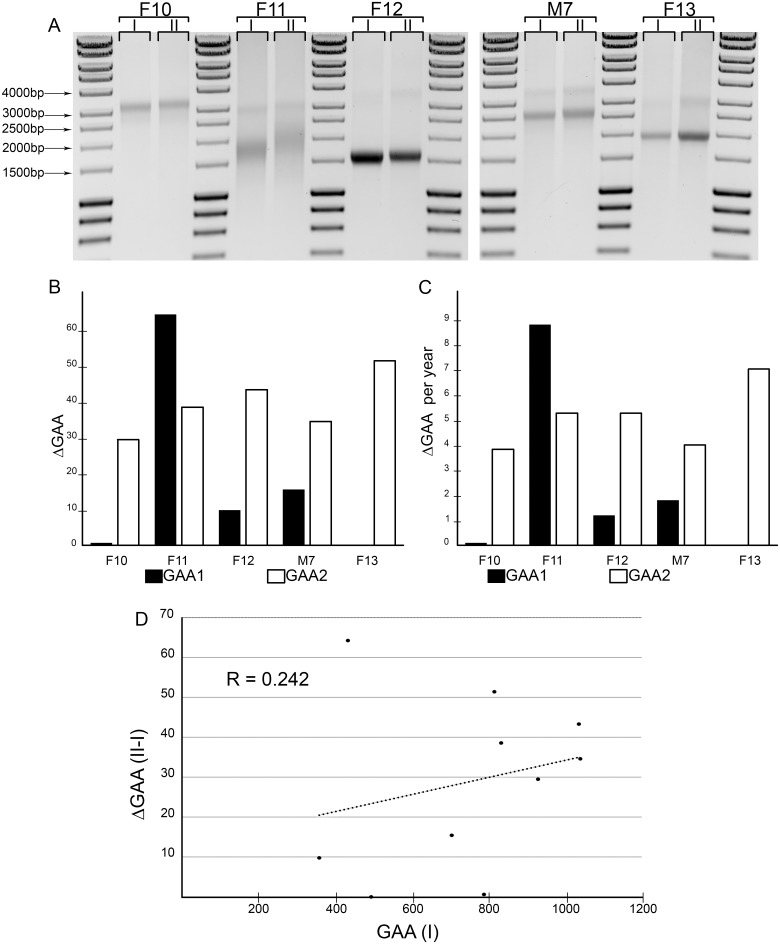 Fig 5