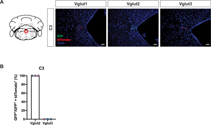 Figure 1—figure supplement 1.