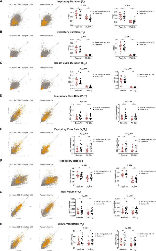 Figure 5—figure supplement 1.