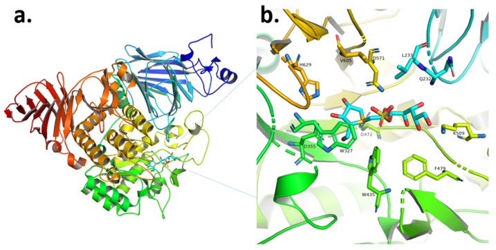 Figure 2