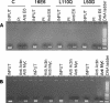 FIG. 5.