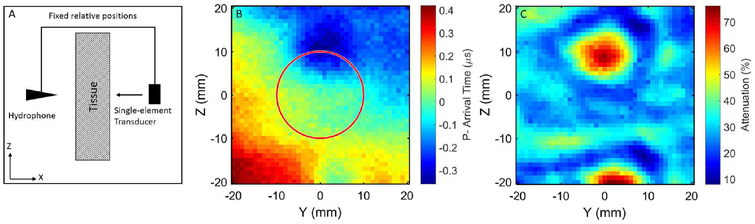 Fig. 9.