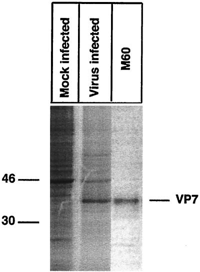 FIG. 5