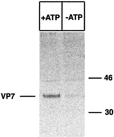 FIG. 6