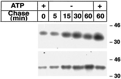 FIG. 4