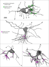 Figure 2—figure supplement 2.