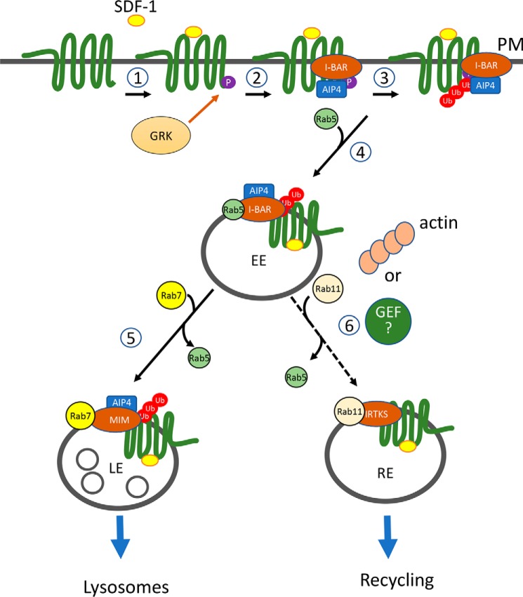 Figure 6.