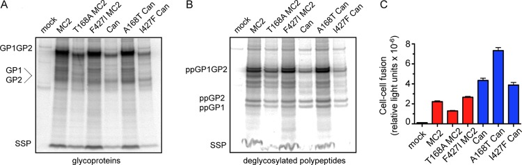 FIG 3