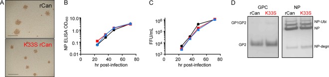 FIG 6