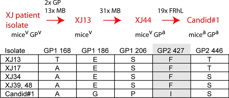 FIG 2