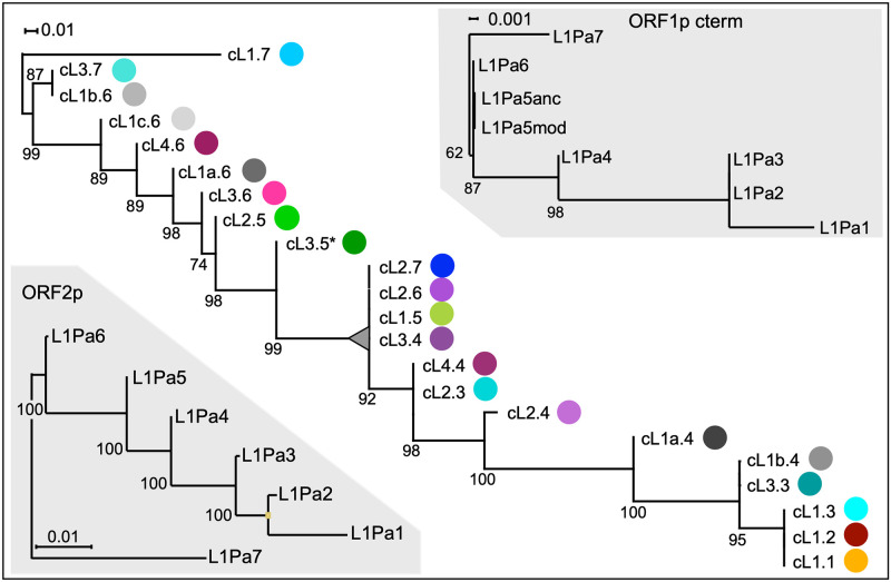 Fig 4