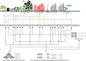 graphic file with name ECE3-13-e10259-g002.jpg