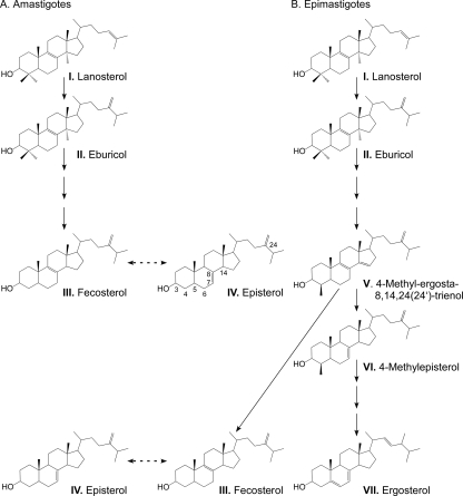 FIG. 6.