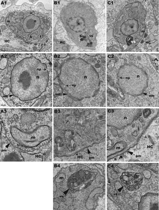 FIG. 7.