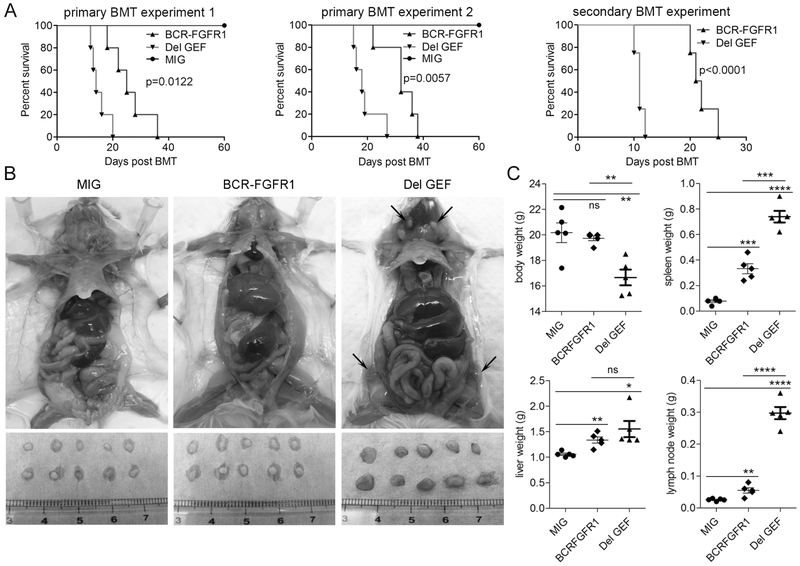 Figure 2: