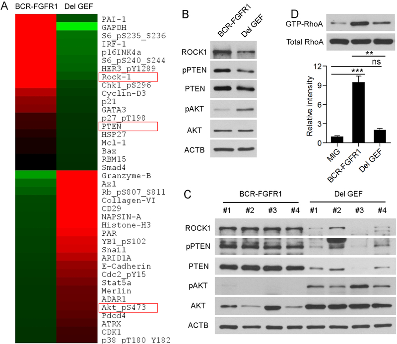 Figure 4: