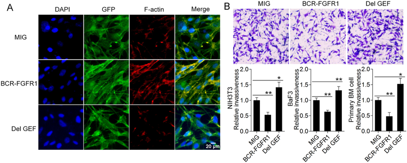 Figure 5: