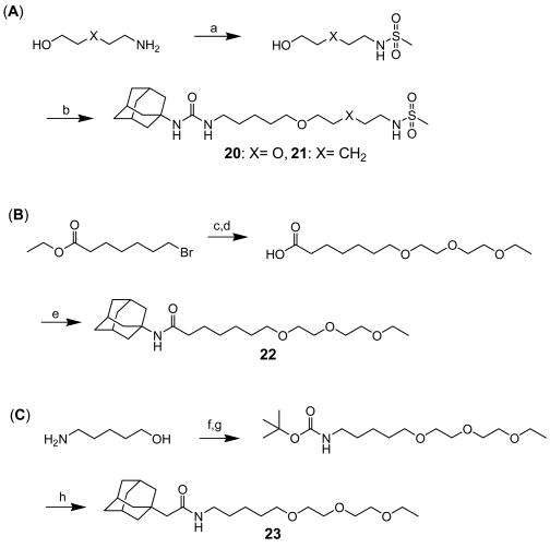 Scheme 4