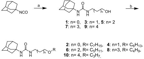 Scheme 1